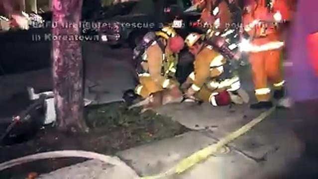 Riesco a salvare un cane dalle fiamma ma non riesce a respirare bene. Quello che accade dopo è incredibile