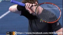 Australian open 2016: Novak Djokovic vs Andy Murray 2016-01-31 FINAL first Grand Slam tennis highlights
