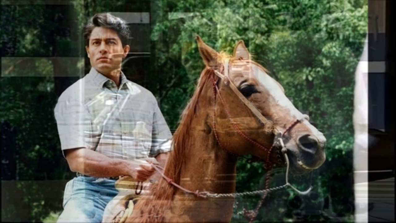 FERNANDO COLUNGA contigo nació una estrella