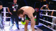 Roy Jones Jr. vs. Enzo Maccarinelli 12.12.2015 HD