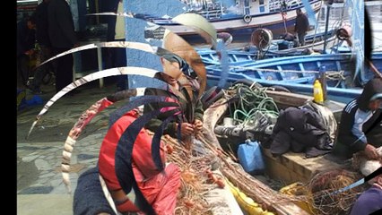 La  pêche  artisanale en Tunisie ( 2013 )