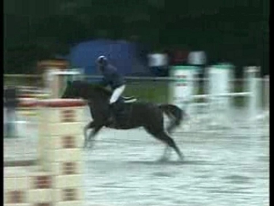 NOUBA - LE LION D'ANGERS - 6ANSB