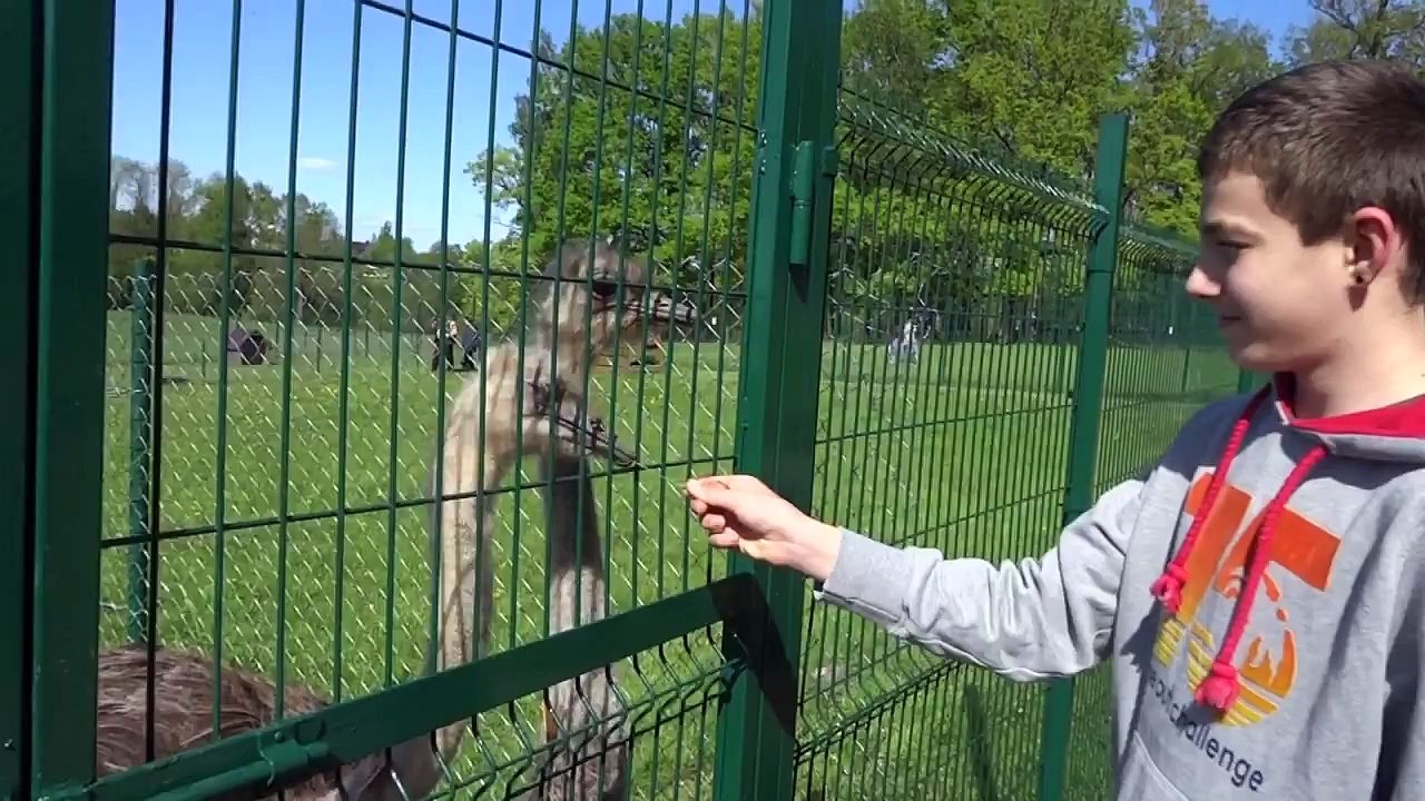 Парк Раубоню Литва Туристические маршруты