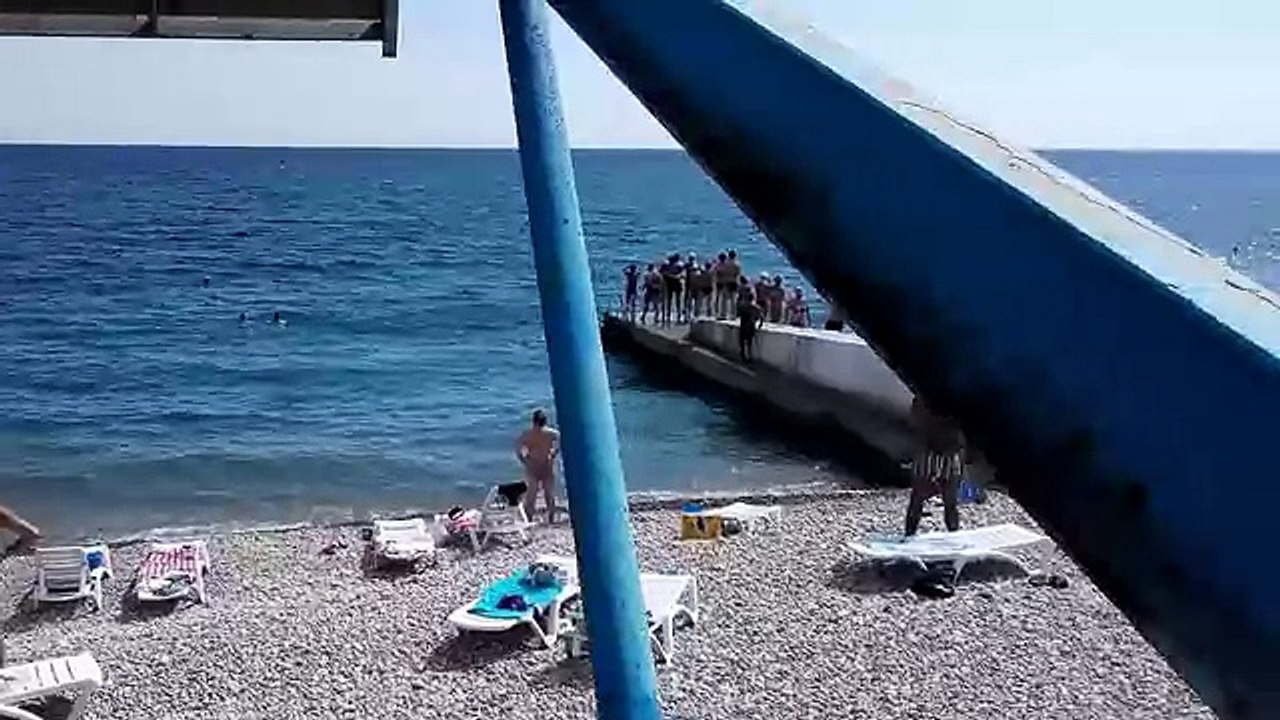 Россия Отдых В Крыму 2015 Гурзуф Дельфины Подплыли К Берегу