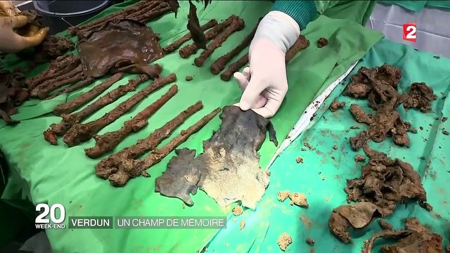 A Verdun, cent ans après, la terre recrache encore des corps de poilus