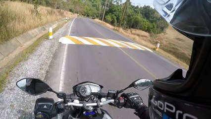 Biker Meets Bear