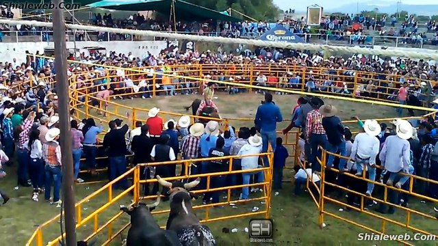 SUPER JARIPEO RANCHERO EN SAN JOSE LA PEñUELA COLON QUERETARO MEXICO LOS MEJORES JINETES DE LA ZONA MONTAN A LOS TOROS MAS SALVAJES DE LA GANADERIA LOCAL FEBRERO 2016