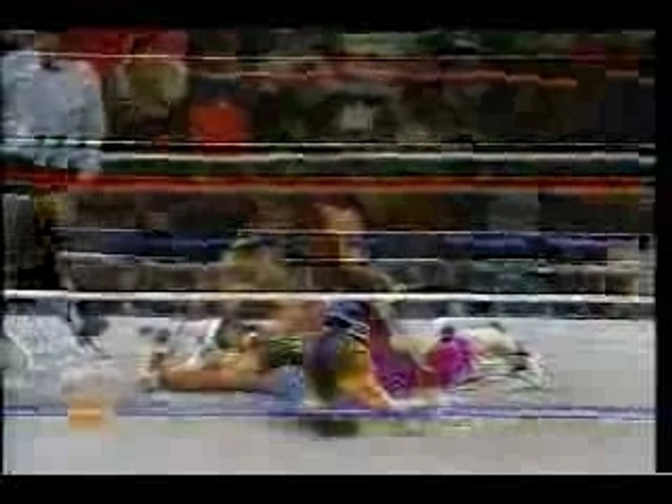 SteinersvsHarts(1-11-94)Part 2