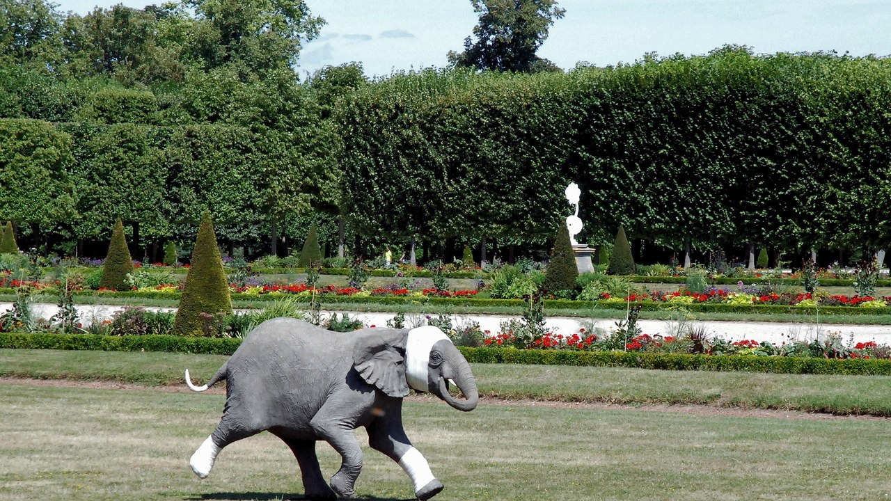 André Le Nôtre à b  Saint Germain  HD
