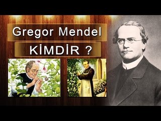 Gregor Mendel Kimdir