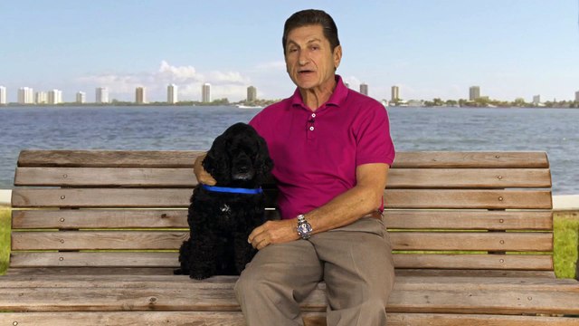 No Fault Insurance | West Palm Beach Car Accident Attorney