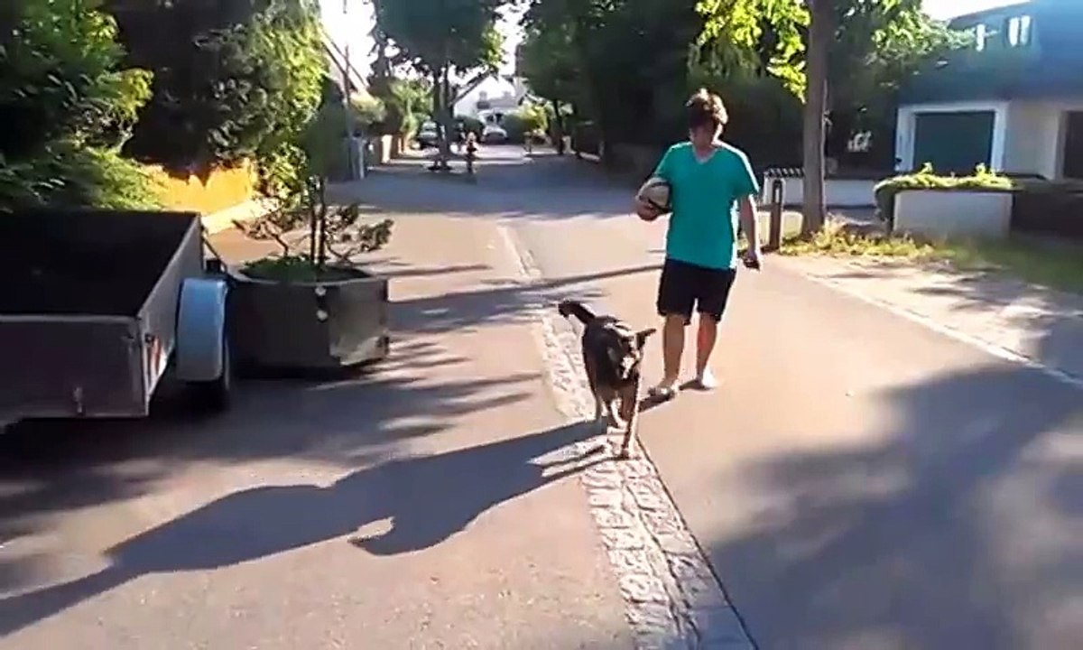 Dog steals ball from boy and flees - Funny Animal Clip