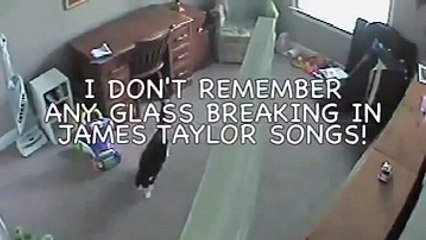 Kedi bakıcıya bakın nasıl saldırdı!