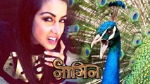 Madhura Naik Enters NAAGIN As Ichaddari MOR (Peacock)