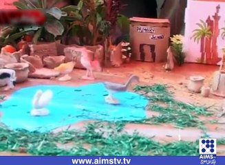 گرین فلیگ اسکولز اینڈ کالج سسٹم کے زیر اہتمام پروجیکٹ ڈے کی نمائش