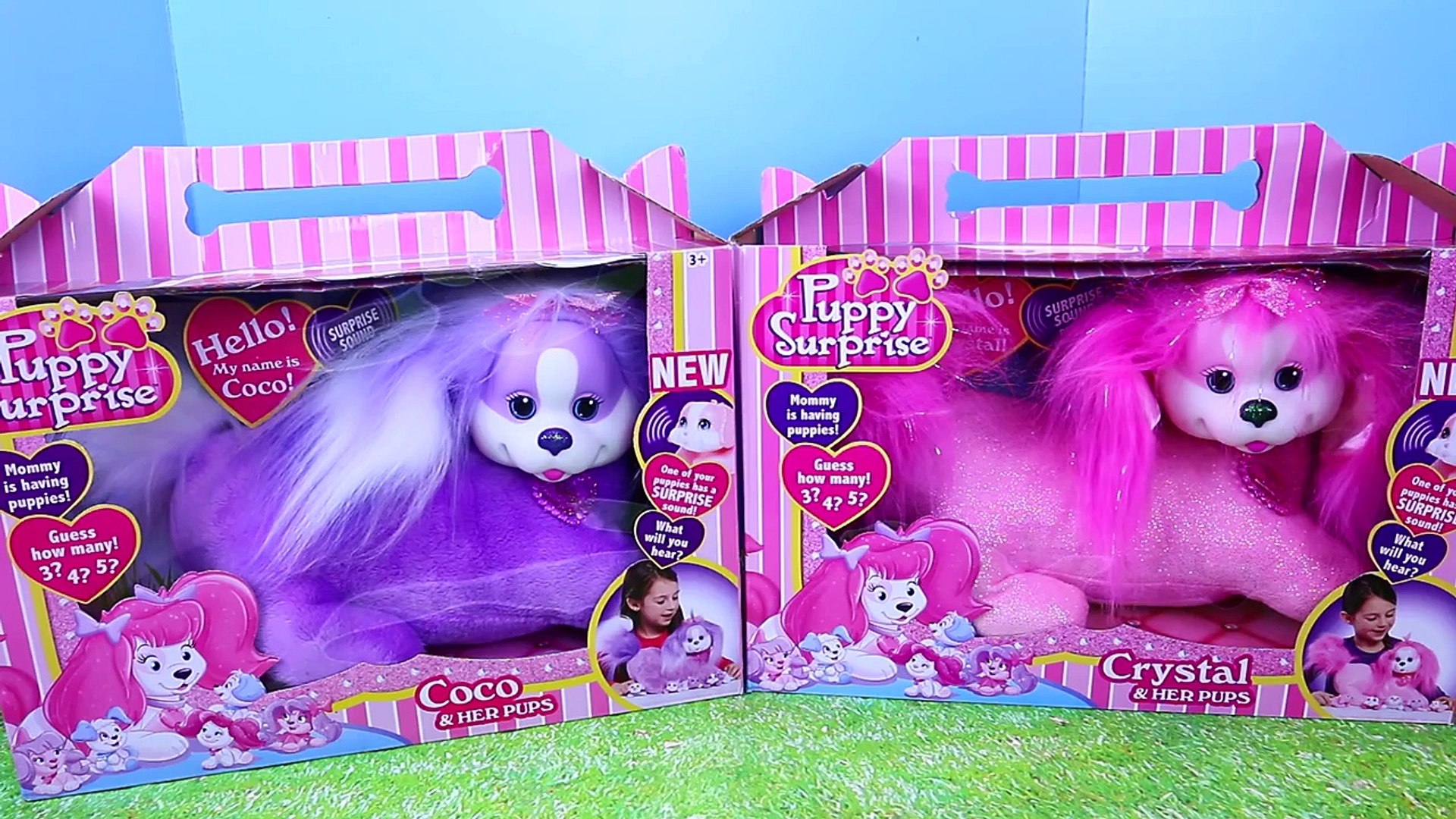 puppy surprise magic mommy