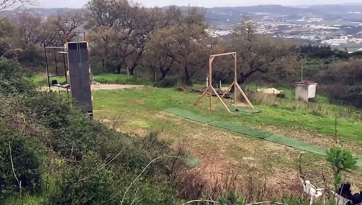 L’entraînement impressionnant de chiens au saut en longueur