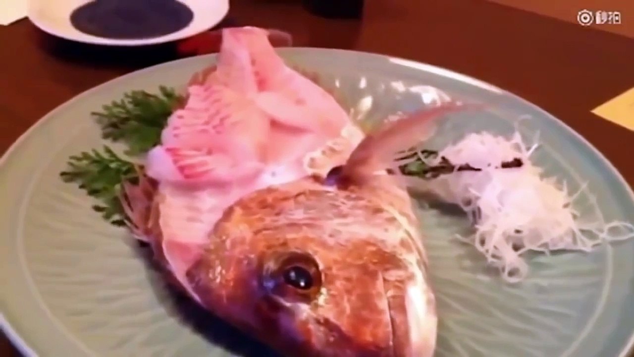 Dead fish is alive, Fish that would not die compilation