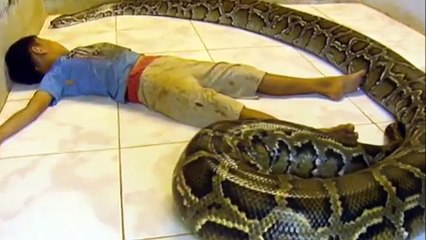 Children and Large Snakes