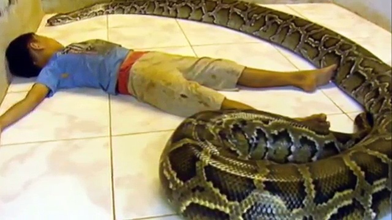 Children and Large Snakes