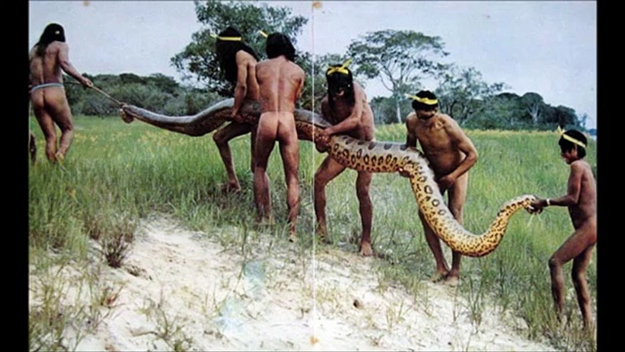 Giant Anaconda - Part 2