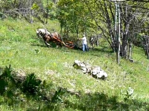 Arche de débardage à cheval à Montdenis mai-2007-4