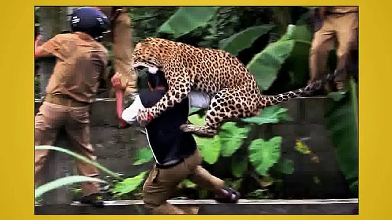 Top 5 Amazing Stabbing Survivors