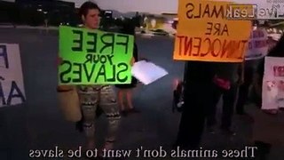 DxE SoCal - Ramos Bros. Circus Protest in San Bernardino