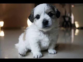 약수동출장안마 01O -5937-8461 굿い 한남동출장안마∑약수동출장마사지