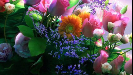 Emad Ram - Shomali عماد رام ـ شمالی