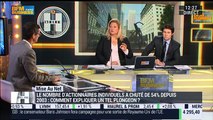 La mise au net: Les petits porteurs désertent le CAC 40 – 22/02