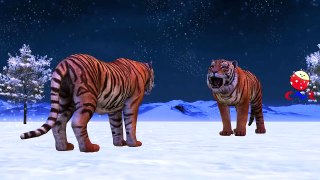 Tiger Cartoon Singing Johny Johny Yes Papa And Finger Family Nursery Rhymes For Children