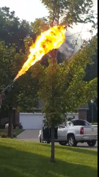 Bruler un nid de guêpes avec un lance-flamme