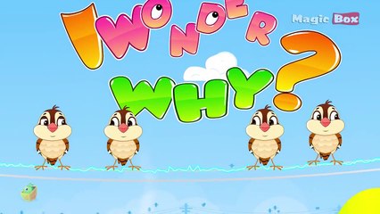 Why Birds Not Get An Electric Shock When Sits In Live Wire - I Wonder Why - Fun Facts Video For Kid