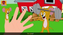 Семья пальчиков ТОМ и ДЖЕРРИ | Коллекция 10 минут | Funny Cat and Mouse Finger Family in Russian