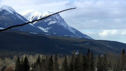 Un mort et plusieurs blessés dans deux avalanches au Canada