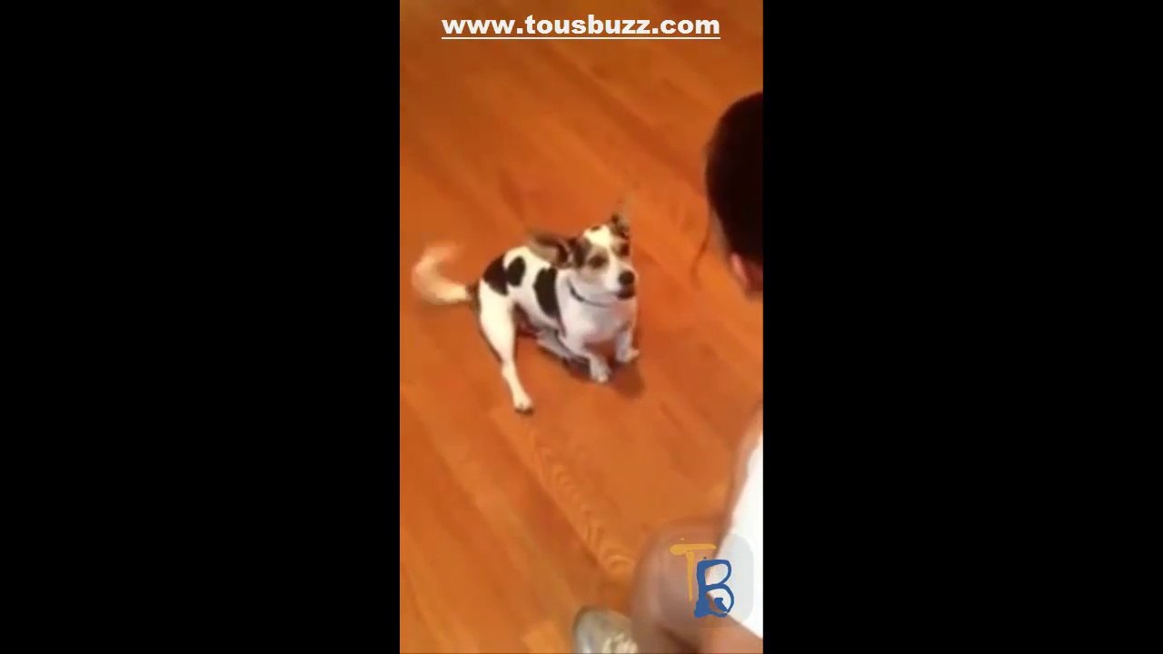 Elle dresse son chien pour qu'il miaule