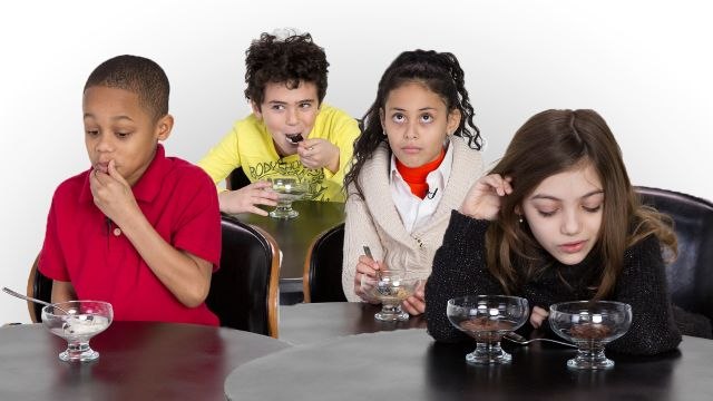 Can These Experts Tell the Difference Between Regular and Non-Dairy Ice Cream?