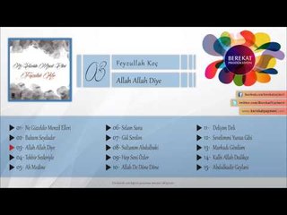 Allah Allah Diye - Feyzullah Koç