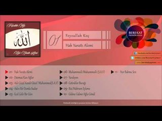 Hak Yarattı Alemi - Feyzullah Koç
