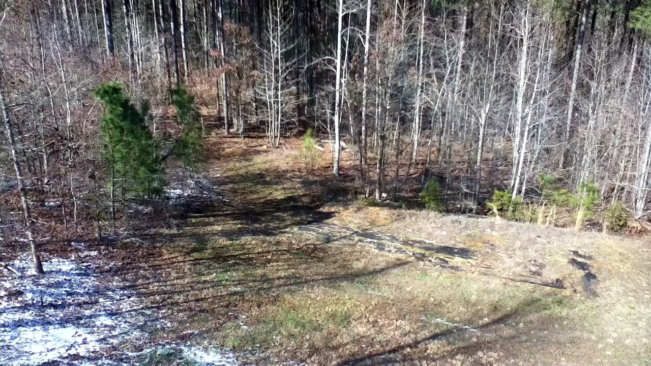 Z57 presents Woods