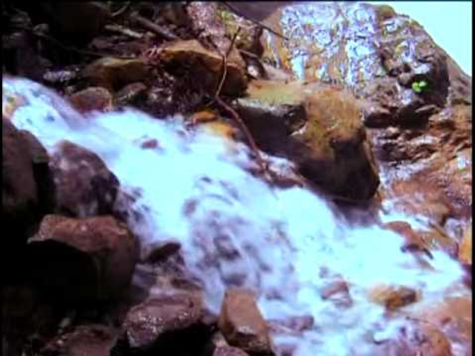 Guslün Farzları