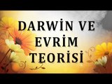 Darwin ve evrim teorisi - Sorularla İslamiyet