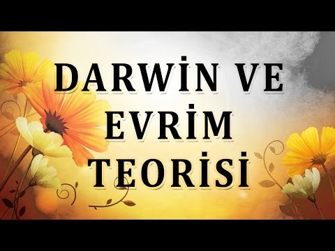 Darwin ve evrim teorisi - Sorularla İslamiyet