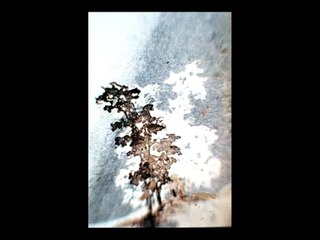 "D'où rayonne la nuit dans leur regard obscur" Jean-Luc Nancy devant des dessins de Victor Hugo