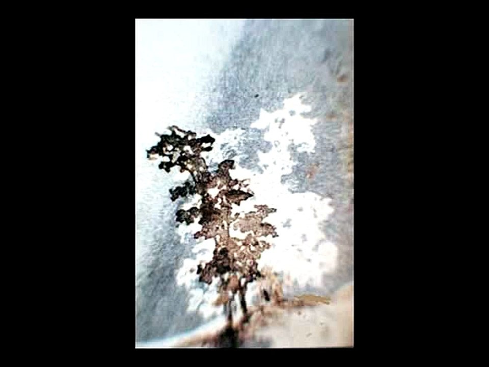 "D'où rayonne la nuit dans leur regard obscur" Jean-Luc Nancy devant des dessins de Victor Hugo