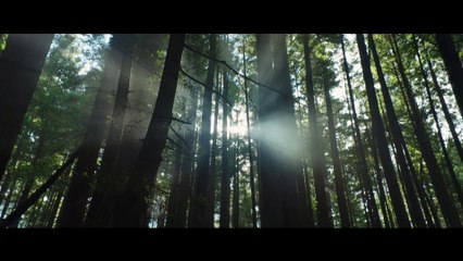 Peter et Elliott le Dragon, le film : Bande annonce (VOST)