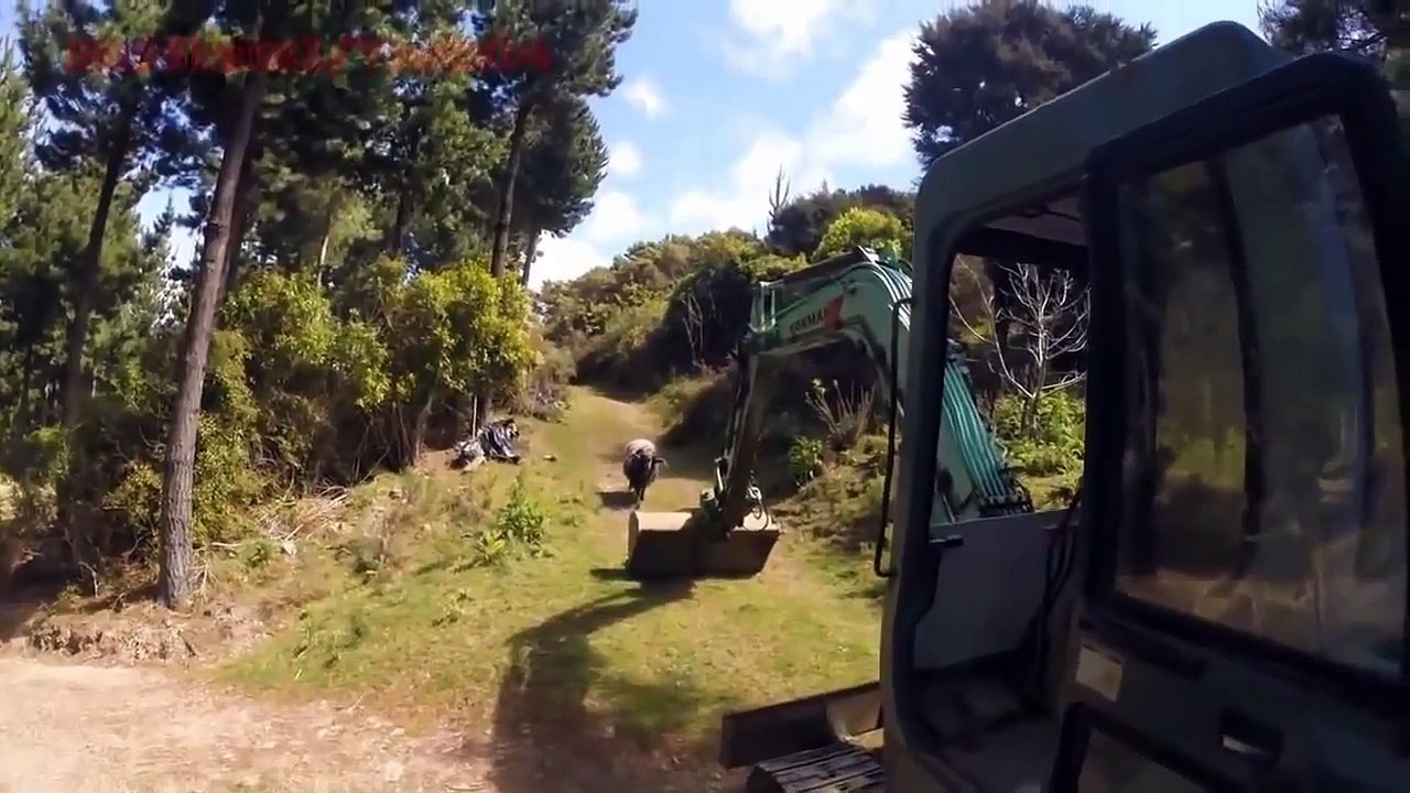 Le Zap de Spion 243 /zap2spion/le zapping - 2016