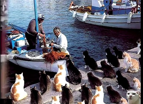 Интересный бой тореадора с быком - это стоит посмотреть !