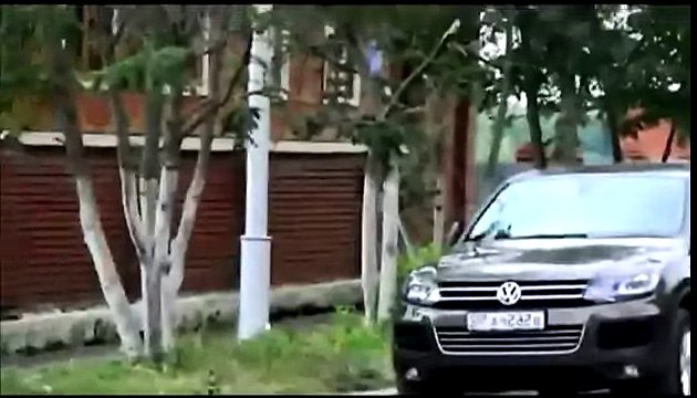 Бои без правил , коты безпредельщики мочат собак !